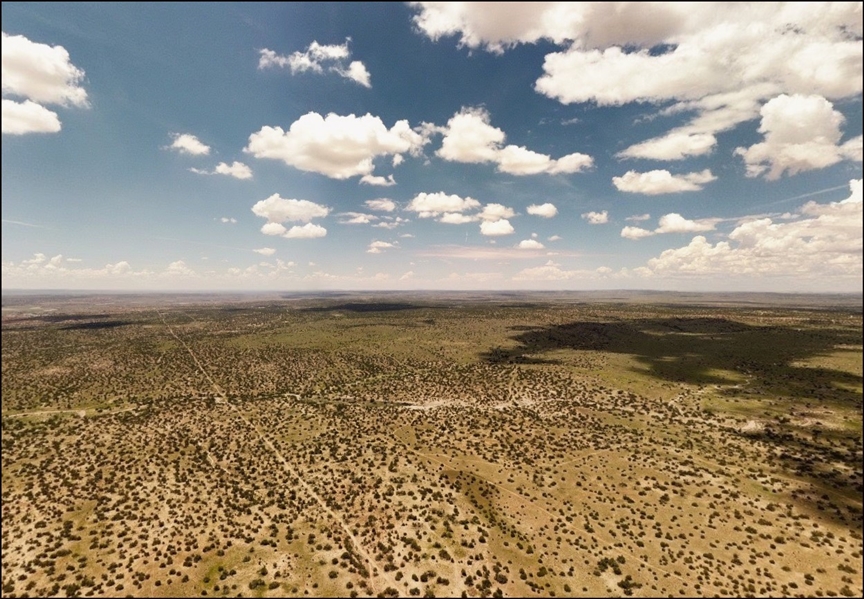 Arizona 40 Acres in Navajo County! Great for Investment South of Holbrook! Low Monthly Payments!