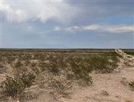 Texas Land Investment in Hudspeth County 21 Acres near Dell City and Highway! Low Monthly Payments!