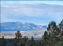 Northern California Modoc County 1.57 Acre Property! Great Homesite Location in Modoc Recreational Estates with Incredible Views! Low Monthly Payments! 