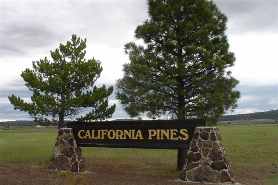 Rare Unit Location! California Pines Approx 1 Acre Modoc County Homesite Property with Amazing Recreation! Low Payments!