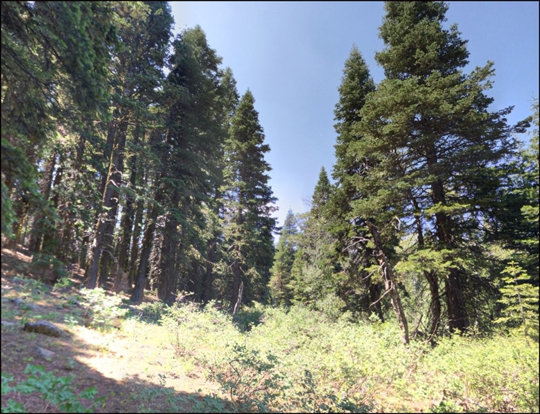 Northern California Modoc County Approx 1 Acre Superb Recreation Property or Homesite Residence! Low Monthly Payments!