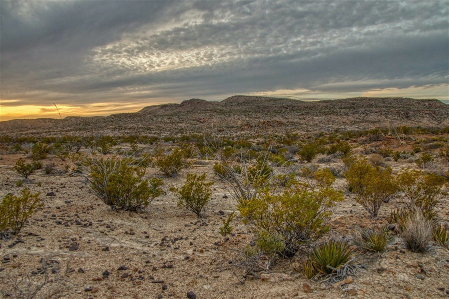 Texas Hudspeth County 11 Acre Property near Rio Grande! Great Recreational Land! Low Monthly Payments!