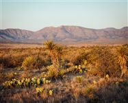 Texas Hudspeth County 11 Acre Property! Near Rio Grande! Dirt Road Access! Low Monthly Payments!