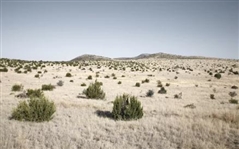 Texas Presidio County 10 Acre Property with Mountain Views in Serene Desert Area! Great Camping! Low Monthly Payments!