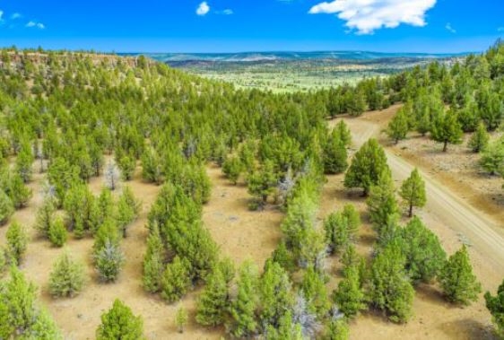 CASH SALE! California Modoc County Approx 1 Acre Recreational Land Investment Property! File 9139422