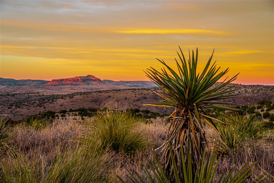 10.72 Acre Texas Parcel in Hudspeth County Land of the Great American West With Financing Available 