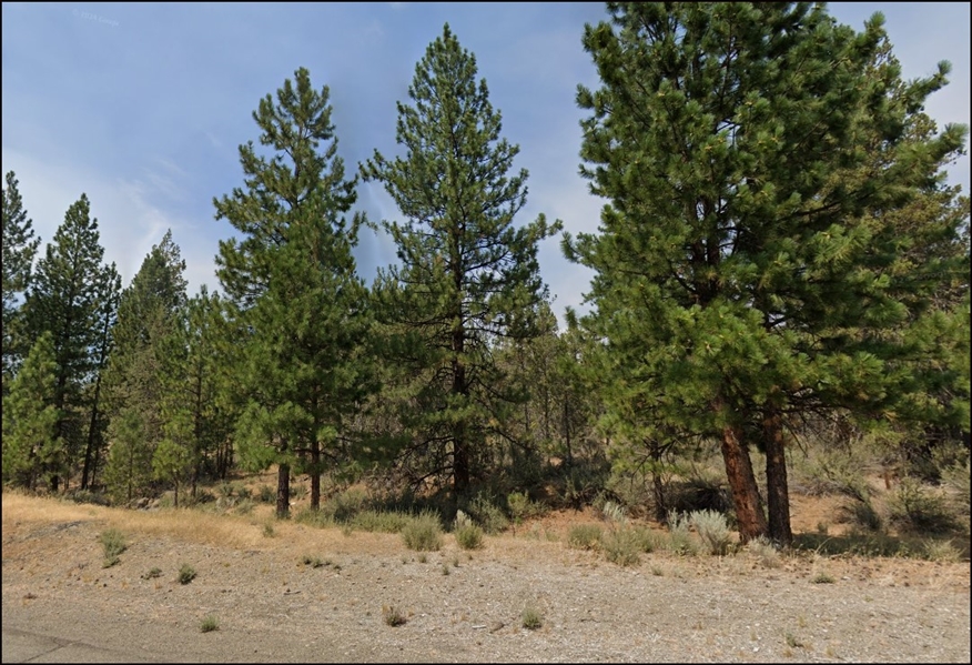 California Modoc County 0.91 Acre Lot! Rare Northern California Investment in Unique Recreational Location near Lookout Junction! Low Monthly Payments!