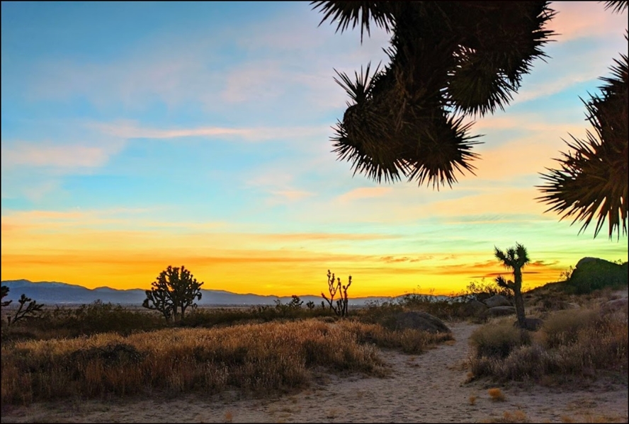 Southern California Los Angeles County 5 Acre Property with Dirt Road near Lancaster! Great Investment! Low Monthly Payments!