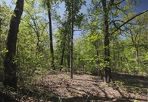 Arkansas Sharp County 0.40 Acre Cherokee Village Lot! Great Recreation And Investment! Low Monthly Payments!