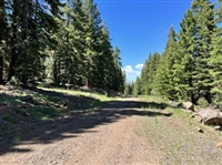 Modoc County 1 Acre California Pines Property Northern Cal Land Investment! Low Monthly Payments!