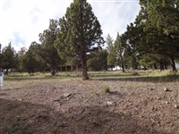 Northern California Siskiyou County  0.23 Acre Property! Near Lake And Golf Course! Incredible Investment! Low Monthly Payments!