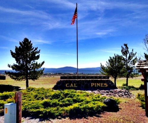 CASH SALE Discount! Northern California Modoc County Approx 1 Acre in California Pines! Make A One Time Full Payment and the Deed Is Yours!