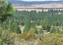 Modoc Recreational Estates Northern California Approx 1.5 Acre Land Investment! Low Monthly Payment!