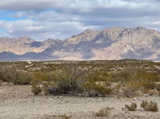 Texas Hudspeth County 10 Acres by Rio Grande River with Easement Access and Mountain View! Low Monthly Payments!