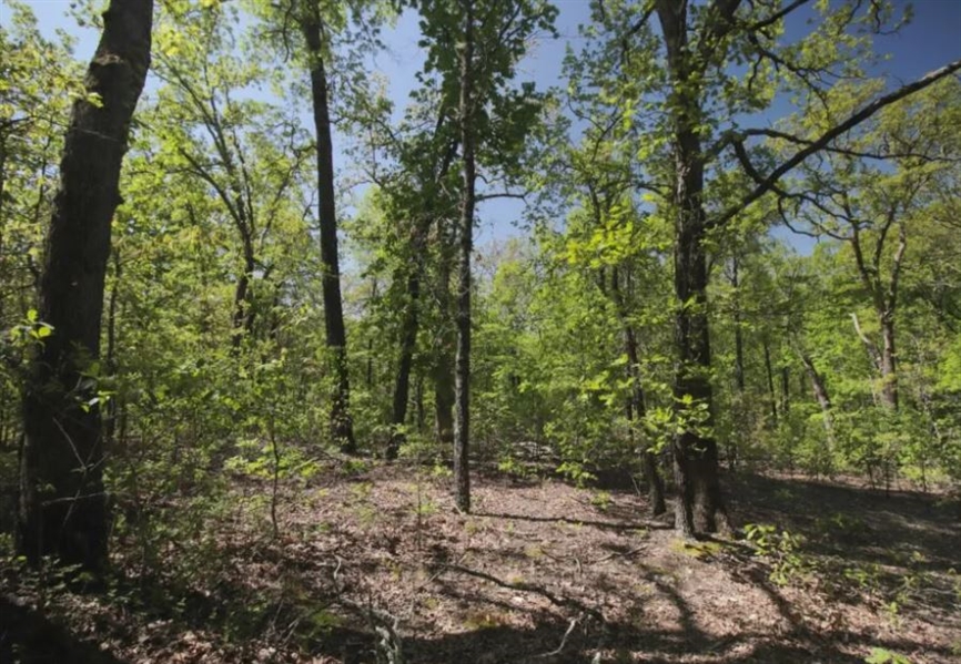 Arkansas Sharp County Cherokee Village Lot! Great Homesite Investment in Recreational Location with Amenities near Lake! Low Monthly Payments!