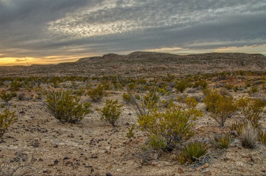 Texas 10 Acre Hudspeth County Great Land Opportunity for Investment or Recreation Use near Dirt Roads! Low Monthly Payments!