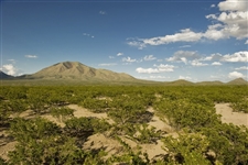 Texas Hudspeth County 10 Acre Property near El Paso! Great Recreational Investment! Low Monthly Payments!