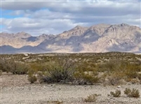 Texas Hudspeth County 10 Acres by Rio Grande with Easement Access from Dirt Road and Mountain View! Low Monthly Payments!