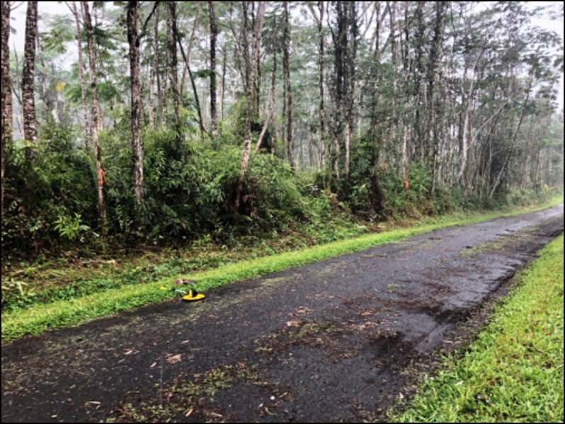 Hawaii 0.18 Acre Lush Lot Hard to Find Tropical Homesite Investment in Nanawale Estates with Great Community Amenities! Low Monthly Payments!