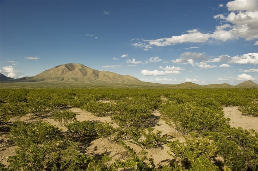 Texas Hudspeth County 10 Acre Property near El Paso! Great Recreational Investment! Low Monthly Payments!