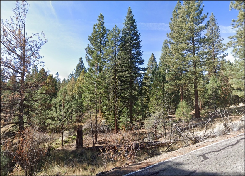 Northern California Modoc County Approx 1 Acre Great Recreational Lot with Road Frontage in California Pines with Low Monthly Payments!