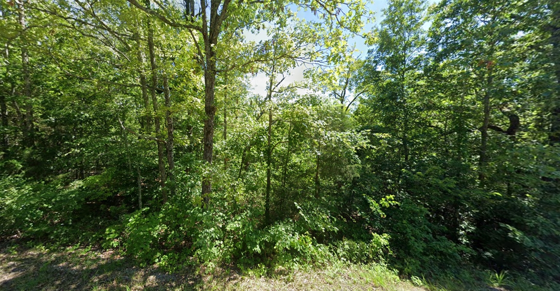 Arkansas Sharp County Lot in Cherokee Village! Great Homesite and Recreation right next to Lake Thunderbird! Low Monthly Payments!