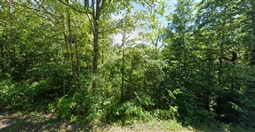 Arkansas Sharp County Lot in Cherokee Village! Great Homesite and Recreation right next to Lake Thunderbird! Low Monthly Payments!