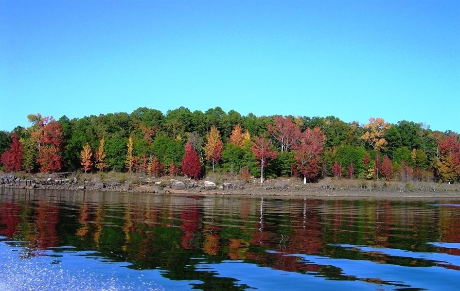 Sharp County Arkansas: Cherokee Village Incredible Lot for Homesite or Investment! Financing Offered!!