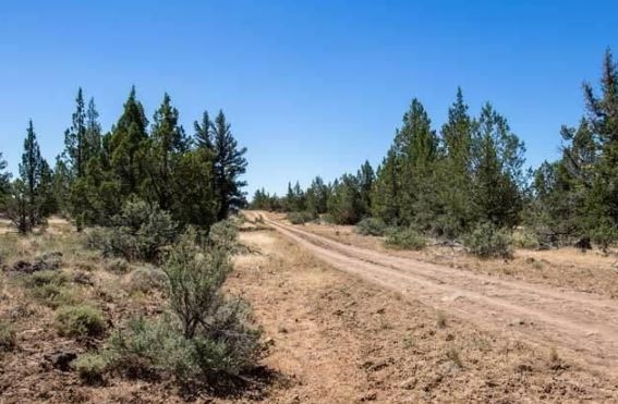 Northern California Modoc County 1.14 Acre Great Recreational Land Investment! Low Monthly Payment!