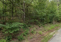 Arkansas Sharp County Lot In The Heart Of Cherokee Village! Nearby Lakes And Town! Low Monthly Payment!