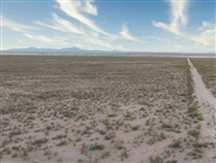 Texas Property 11 Acre Hudspeth County Fantastic Investment with Easement from nearby Dirt Road! Low Monthly Payments!