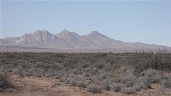 New Mexico Luna County 1 Acre Desert Recreation Property! Great Investment With Incredible Mountain Views! Low Monthly Payments!