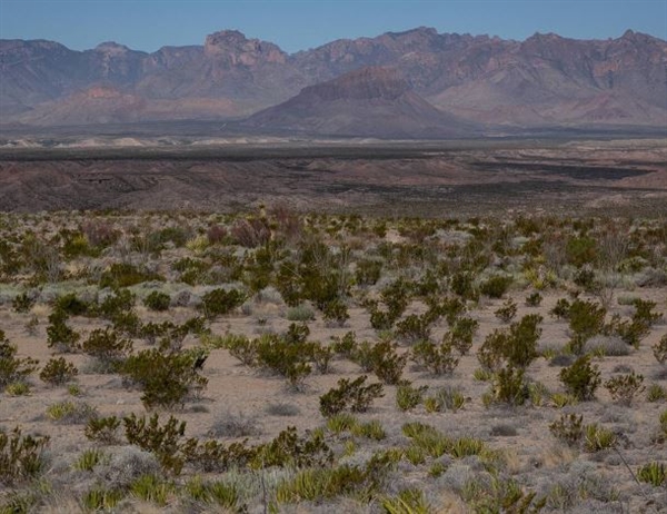 Texas Land Fantastic 11 Acre Property in Hudspeth County with Dirt Road and Easement on Low Payment!