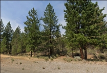 California Modoc County 0.91 Acre Lot! Rare Northern California Investment in Unique Recreational Location near Lookout Junction! Low Monthly Payments!