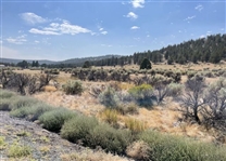 Northern California Modoc County 1.47 Acre Large Homesite Investment in Beautiful Recreational Estates Community! Low Monthly Payments!