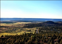 Northern California Modoc County Large 1.07 Acre Property! Great Homesite Investment With Nearby Development! Low Monthly Payments!