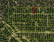 Modoc County California 1 Acre Property in California Pines! Incredible Outdoor Forested Homesite next to Nice Developed Home! Low Monthly Payment!