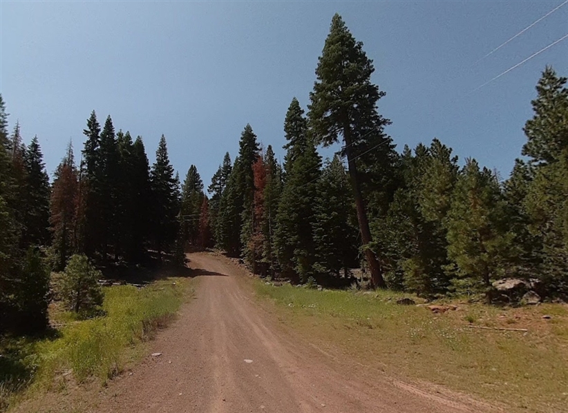 Modoc County California 1 Acre Property in California Pines! Incredible Outdoor Forested Homesite next to Nice Developed Home! Low Monthly Payment!