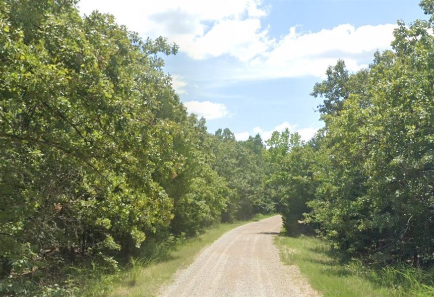 Cherokee Village Double Lot Rare Investment in Fulton County Arkansas! Great Road Frontage! Low Monthly Payments!