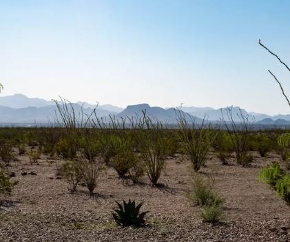 Texas Land Fantastic 11 Acre Property in Hudspeth County with Dirt Road and Easement on Low Payment!