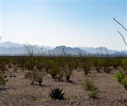 Texas Land Fantastic 11 Acre Property in Hudspeth County with Dirt Road and Easement on Low Payment!