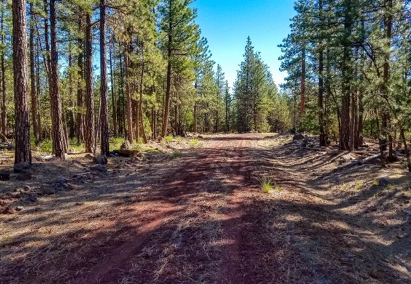 Northern California Modoc County 1 Acre Great Recreational Land Investment on Low Monthly Payments!