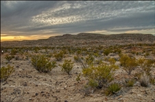 Texas 10 Acre Hudspeth County Great Land Opportunity for Investment or Recreation Use near Dirt Roads! Low Monthly Payments!