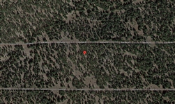 California Modoc County Approx 1 Acre Recreational Land Investment Property! Low Monthly Payments!