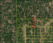 Northern California Modoc County 0.93 Acre Homesite Lot in California Pines! Great Investment and Recreation! Low Monthly Payments!