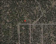 Northern California Modoc County 0.93 Acre Homesite Lot in California Pines! Great Investment and Recreation! Low Monthly Payments!