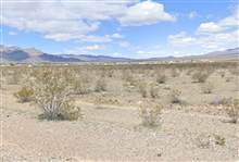 Nevada Nye County 0.459 Acre Lot Near Pahrump and Las Vegas! Great Road Frontage! Low Monthly Payments!