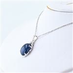 13.56ct Blue Star Sapphire and 0.07ctw Diamond 14K White Gold Pendant (Vault_R52) 