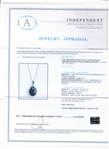 13.56ct Blue Star Sapphire and 0.07ctw Diamond 14K White Gold Pendant (Vault_R52) 