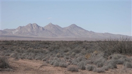 New Mexico Luna County 10 Acre Property! Fantastic Desert Recreation! Low Monthly Payments!